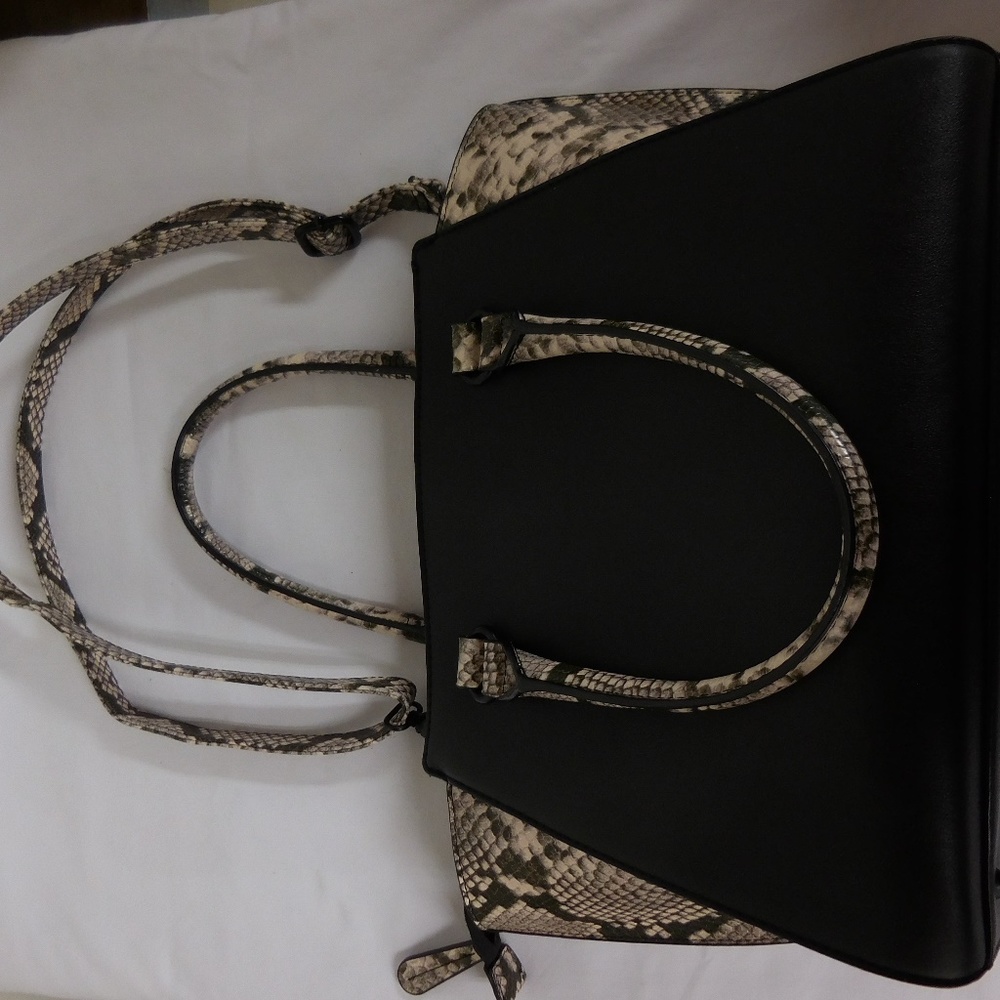 ALDO Faux Snake Skin & Black Purse